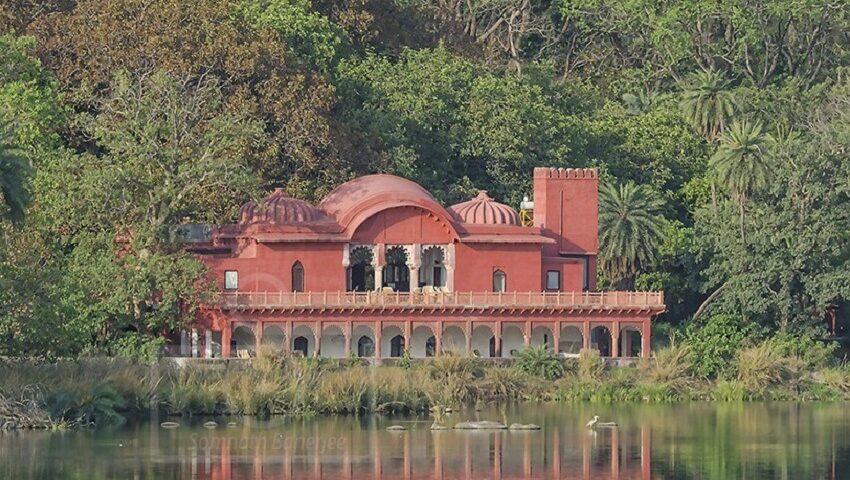 Padam Talao Ranthambore